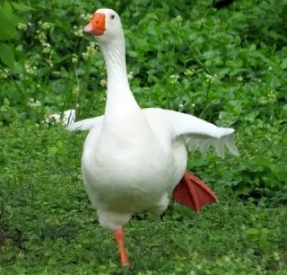 Стикер Создано в @sozdsti_bot - 1