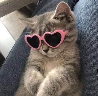 Sticker Создано в @sozdsti_bot - 8