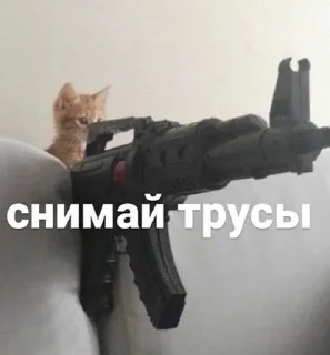 Sticker Создано в @sozdsti_bot - 10