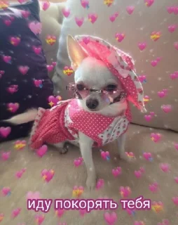 Sticker Создано в @sozdsti_bot - 4