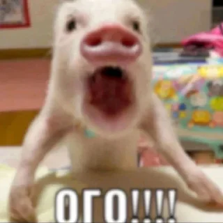 Sticker Kishechnik от @sovasigmo - 2