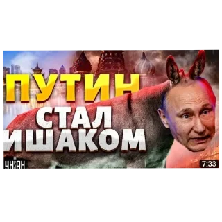 Sticker Kishechnik от @sovasigmo - 5