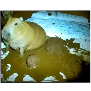 Стикер Создано в @sozdsti_bot - 5