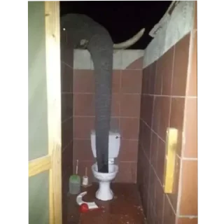 Стикер Создано в @sozdsti_bot - 3