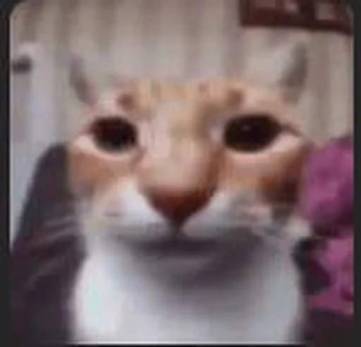 Создано в @sozdsti_bot - 