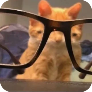 Стикер Создано в @sozdsti_bot - 0