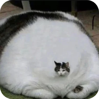 Стикер Создано в @sozdsti_bot - 5