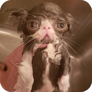 Стикер Создано в @sozdsti_bot - 2