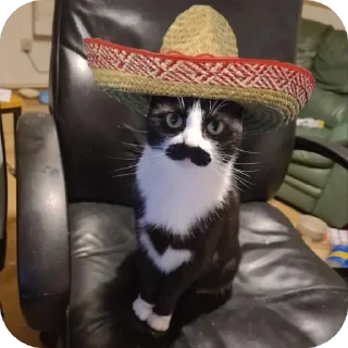 Стикер Создано в @sozdsti_bot - 4