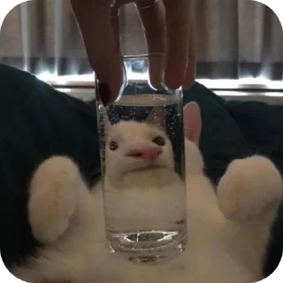 Стикер Создано в @sozdsti_bot - 8