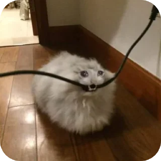 Стикер Создано в @sozdsti_bot - 9