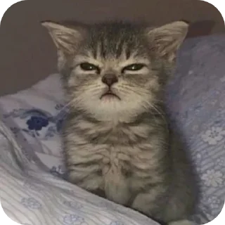 Стикер Создано в @sozdsti_bot - 6