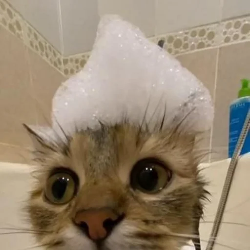 Sticker pack101025136521307_by_sozdat_stikery_bot - 1