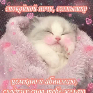 Стикер Создано в @sozdat_stikery_bot - 0