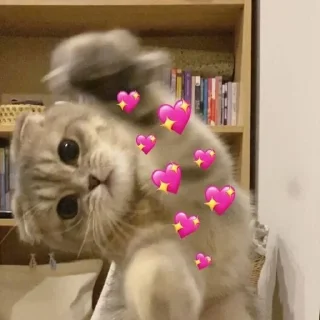 Стикер Создано в @sozdat_stikery_bot - 1