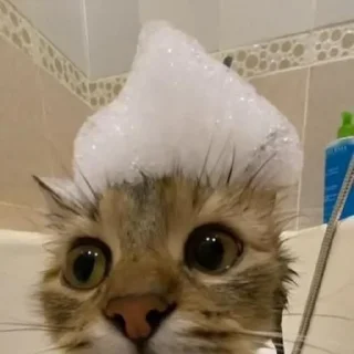 Стикер Создано в @sozdat_stikery_bot - 2