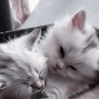 Стикер Создано в @sozdat_stikery_bot - 4