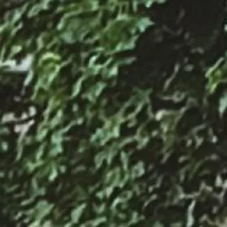 Sticker created by @katalog_stik_bot - 2