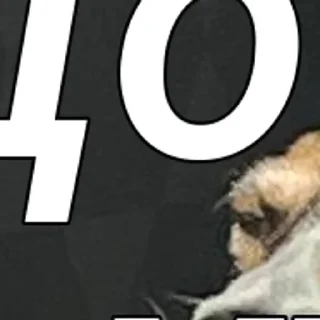 Sticker created by @katalog_stik_bot - 6