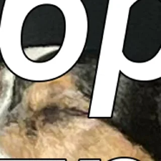 Sticker created by @katalog_stik_bot - 5