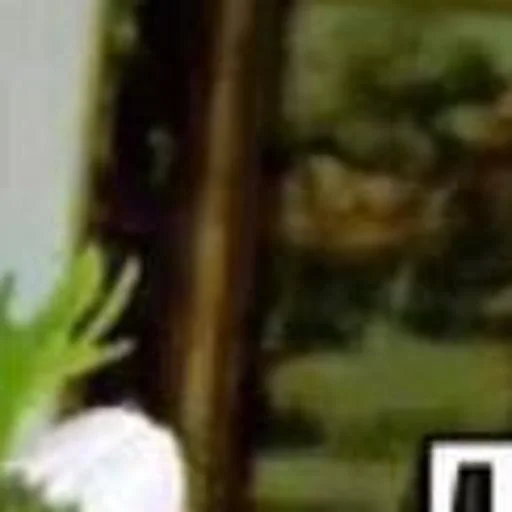 created by @katalog_stik_bot - 