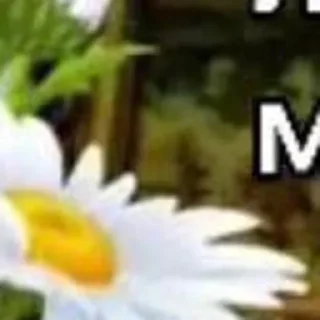 Sticker created by @katalog_stik_bot - 1