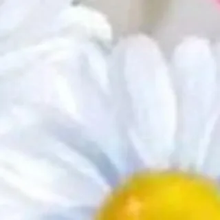 Sticker created by @katalog_stik_bot - 3