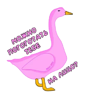 Sticker Стикеры ➡️ @StickerDreamBot - 5