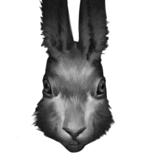 Sticker pack180_stick4gram - 1