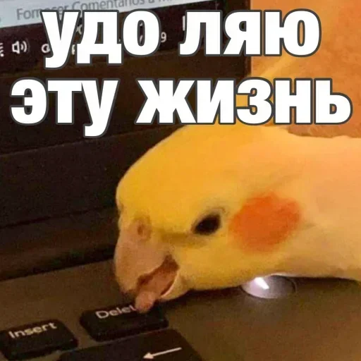 Sticker pack182_stick4gram - 1