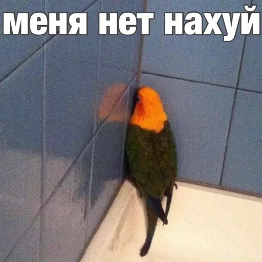 Стикер pack182_stick4gram - 1