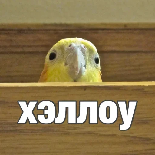 Sticker pack182_stick4gram - 1