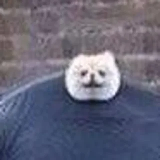 Стикер created by @katalog_stik_bot - 1