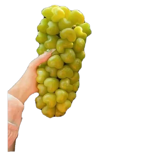 Sticker Стикеры ➡️ @Stikeryrubot - 10