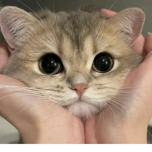 Создано в @sozdat_stikery_bot - 