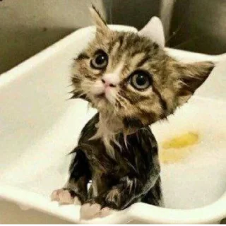 Sticker Создано в @sozdat_stikery_bot - 9