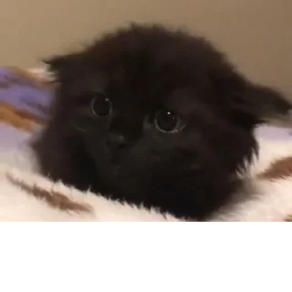 Sticker Создано в @sozdat_stikery_bot - 7