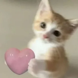 Sticker Создано в @sozdat_stikery_bot - 11