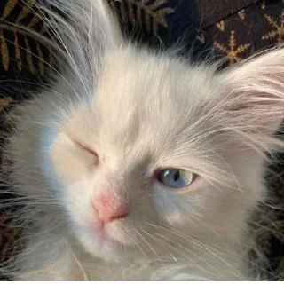 Sticker Создано в @sozdat_stikery_bot - 3