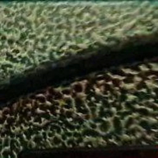 Sticker pack23423215_by_katalog_stik_bot - 1