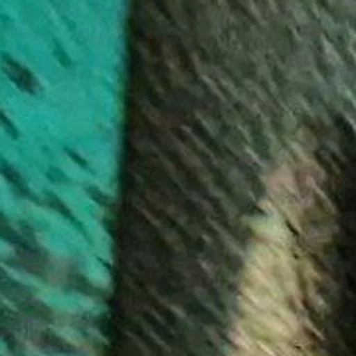 Sticker pack23423215_by_katalog_stik_bot - 1