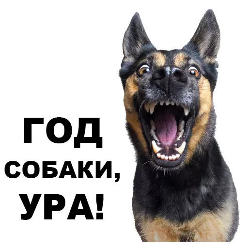 Sticker pack2483_by_StickerDreamBot - 1