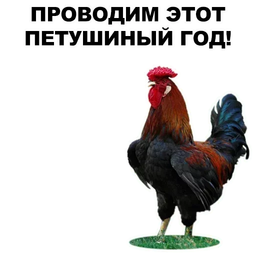 Sticker pack2483_by_StickerDreamBot - 1