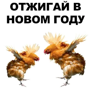 Стикер Стикеры ➡️ @StickerDreamBot - 11