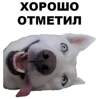 Стикер Стикеры ➡️ @StickerDreamBot - 9