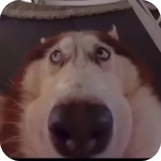 Стикер Создано в @sozdat_stikery_bot - 1