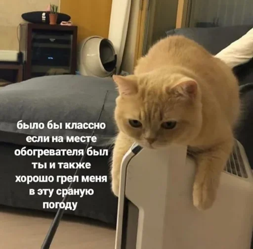 китики | @Stick4Gram - 