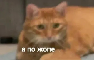 Стикер китики | @Stick4Gram - 8