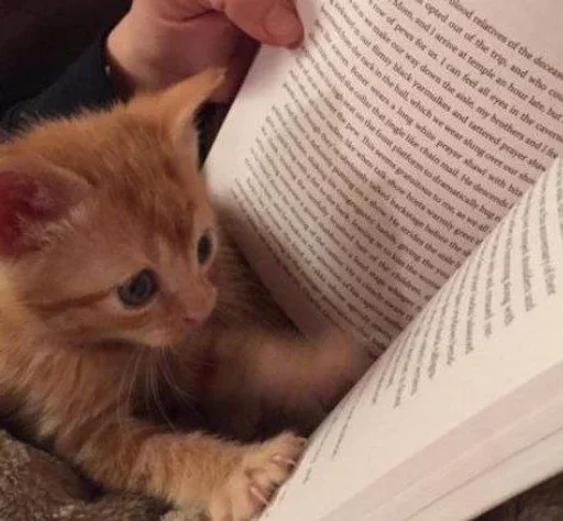 китики 2.0 | @Stick4Gram - 