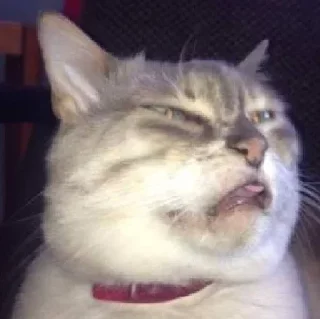 Стикер китики 2.0 | @Stick4Gram - 1